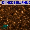 Cl* NGC 6451    PMR     269