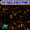 Cl* NGC 6451    PMR     309