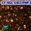 Cl* NGC 6451    PMR     319