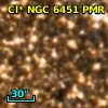 Cl* NGC 6451    PMR     323