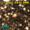 Cl* NGC 6451    PMR     370
