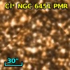 Cl* NGC 6451    PMR     415