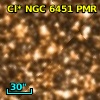 Cl* NGC 6451    PMR     461