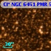 Cl* NGC 6451    PMR     515