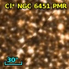 Cl* NGC 6451    PMR     626