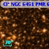 Cl* NGC 6451    PMR     629