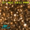 Cl* NGC 6451    PMR     653