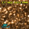 Cl* NGC 6451    PMR     662