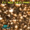 Cl* NGC 6451    PMR     698