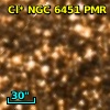 Cl* NGC 6451    PMR     728