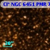 Cl* NGC 6451    PMR     761