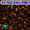 Cl* NGC 6451    PMR     771