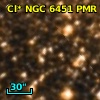 Cl* NGC 6451    PMR     781