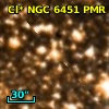 Cl* NGC 6451    PMR     795