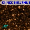Cl* NGC 6451    PMR     873