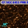 Cl* NGC 6451    PMR     876