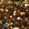 Cl* NGC 6451    PMR     880
