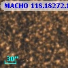 MACHO 118.18272.189