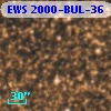 EWS 2000-BUL-36