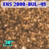 EWS 2000-BUL-49