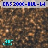 EWS 2000-BUL-14