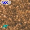 NGC  6476