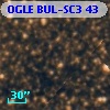 OGLE BUL-SC3     43