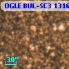 OGLE BUL-SC3 131655