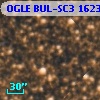 OGLE BUL-SC3 162301