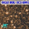 OGLE BUL-SC3 600318
