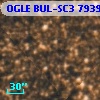 OGLE BUL-SC3 793952