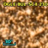 OGLE BUL-SC4 230163