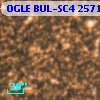 OGLE BUL-SC4  25714