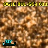 OGLE BUL-SC4 611757
