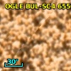 OGLE BUL-SC4  65509