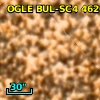 OGLE BUL-SC4 462046