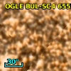 OGLE BUL-SC4  65556