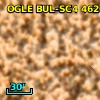 OGLE BUL-SC4 462084