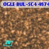 OGLE BUL-SC4 487435