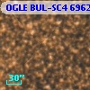 OGLE BUL-SC4 696288