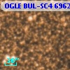 OGLE BUL-SC4 696287