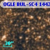 OGLE BUL-SC4 144271