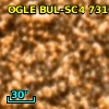 OGLE BUL-SC4 731063