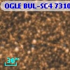 OGLE BUL-SC4 731054