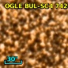 OGLE BUL-SC4 742661