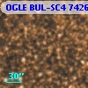 OGLE BUL-SC4 742662