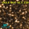 OGLE BUL-SC5 236999