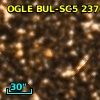 OGLE BUL-SC5 237041