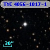 TYC 4056-1017-1