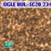 OGLE BUL-SC20 234108